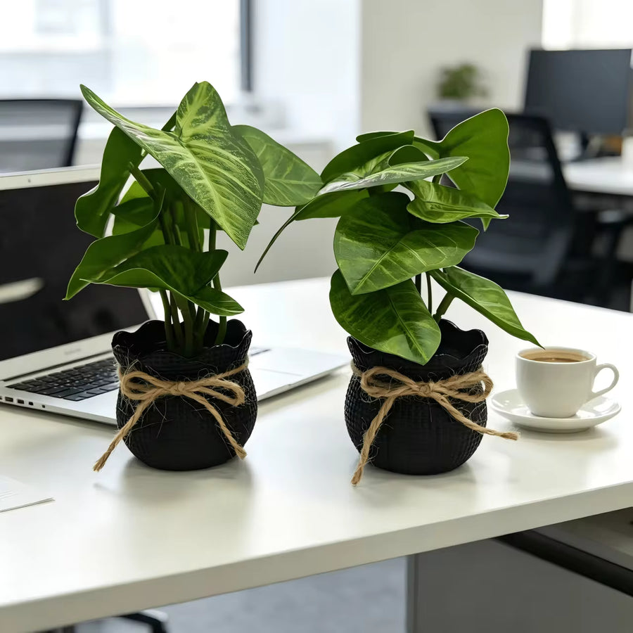 2pcs/Set Artificial Mini Black Potted Plants, Maintenance-Free, Suitable For Indoor Home, Office, Farmhouse, Bathroom, Dining Table Decor, Small Fake Lawn Green Potted Plants, Home Decor [With Pot], Birthday/Graduation Gift